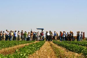 research seminar in field