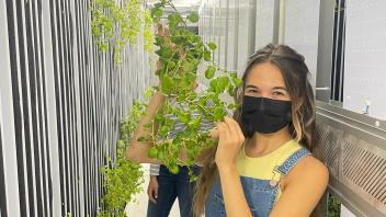 A giant Watercress
