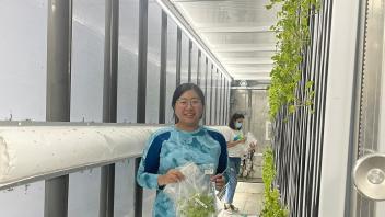 Vertical Farm preparations