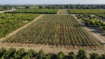 Poplar Field site at UCD