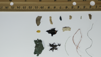 Micro Plastics found