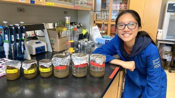 Microplastic Extraction
