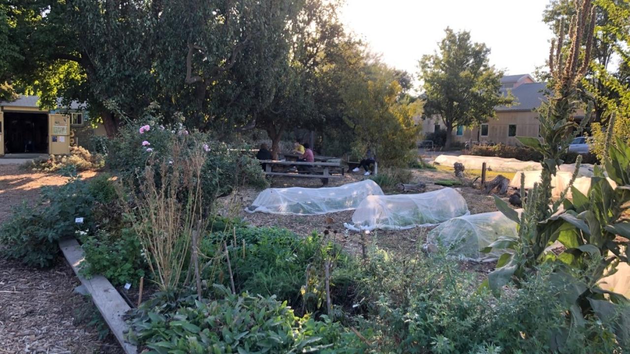 Student farm